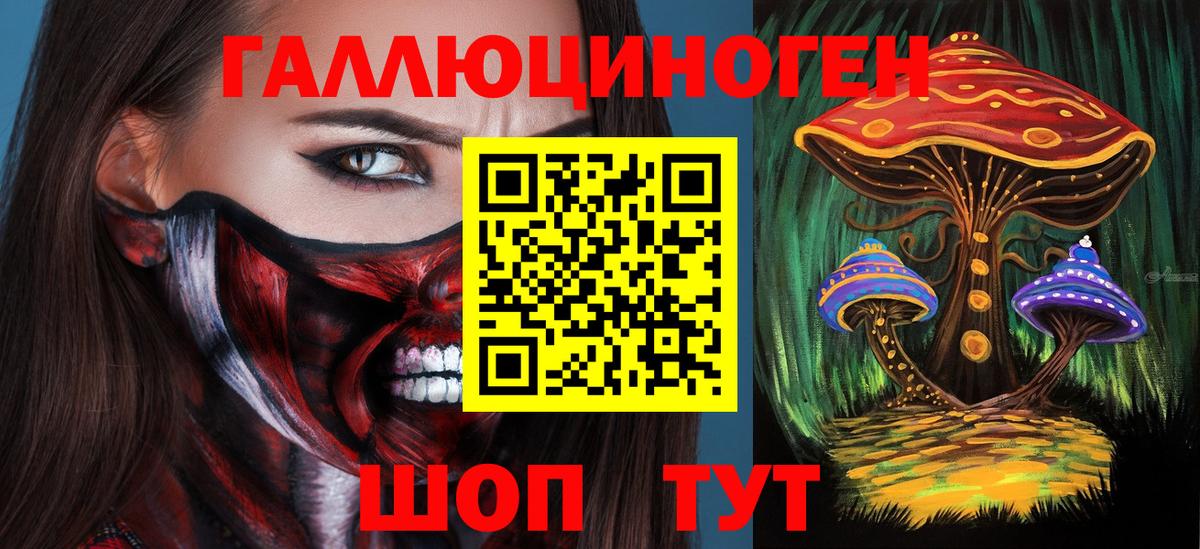 Галлюциногенные грибы Psilocybine cubensis  Псилоцибиновые грибы прущие грибы  Вход с VPN  Урус-Мартан 