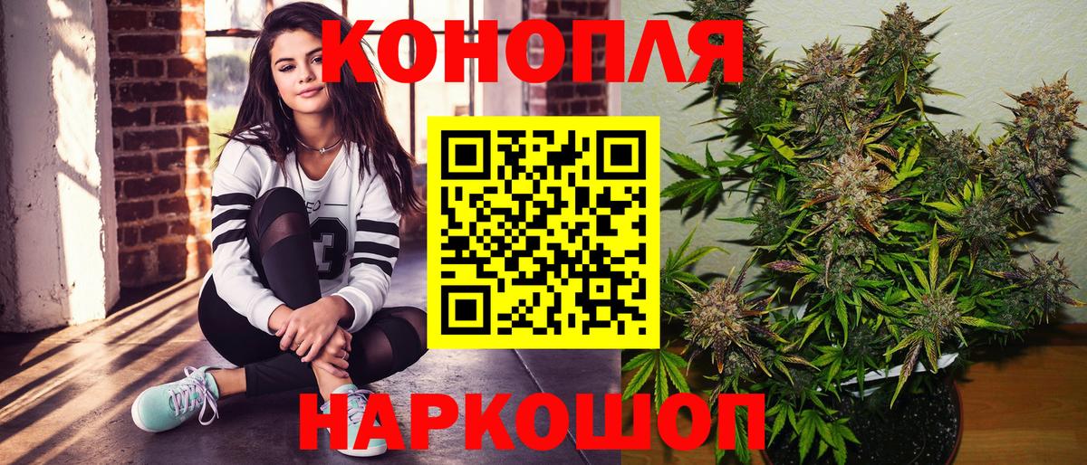 МАРИХУАНА Bruce Banner  Конопля тримм  Вход с VPN  Урус-Мартан  Бошки марихуана планчик 